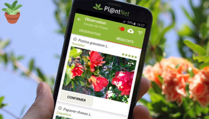 App para Reconhecer Plantas