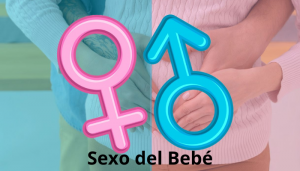 Sexo del Bebé con la Aplicación