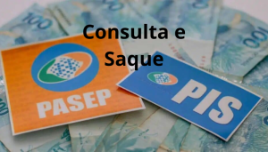 PIS/PASEP Passo a Passo Consulta e Saque