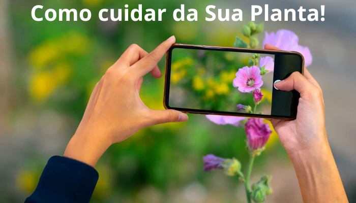 App que Ajuda a Cuidar das Palntas