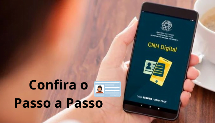 Confira o Passo a Passo CNH