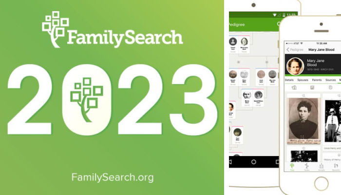 Aplicación Family Tree