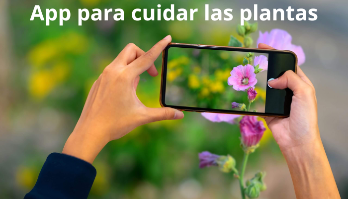 App para cuidar las plantas