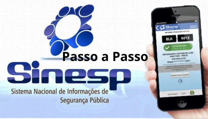 Passo a passo para utilizar o App Sinesp Cidadão